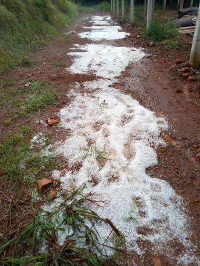 Chuva de Granizo danifica lavoura de Tabaco em Laranjeiras do Sul